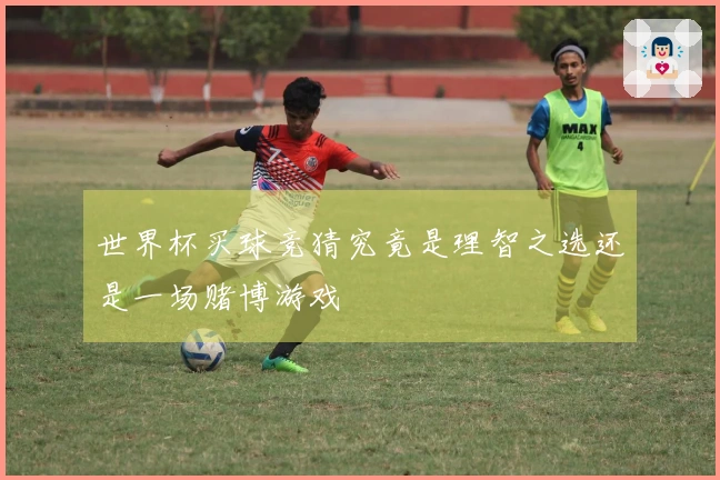 世界杯买球竞猜究竟是理智之选还是一场赌博游戏