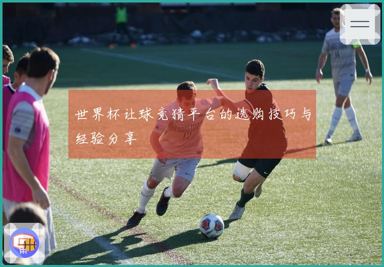 世界杯让球竞猜平台的选购技巧与经验分享