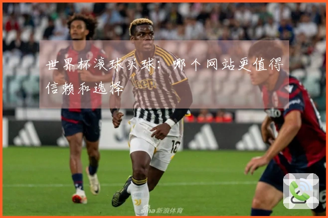 世界杯滚球买球：哪个网站更值得信赖和选择