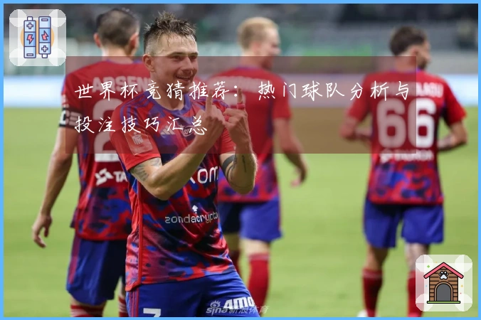 世界杯竞猜推荐：热门球队分析与投注技巧汇总