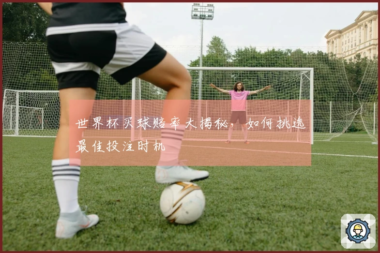 世界杯买球赔率大揭秘，如何挑选最佳投注时机