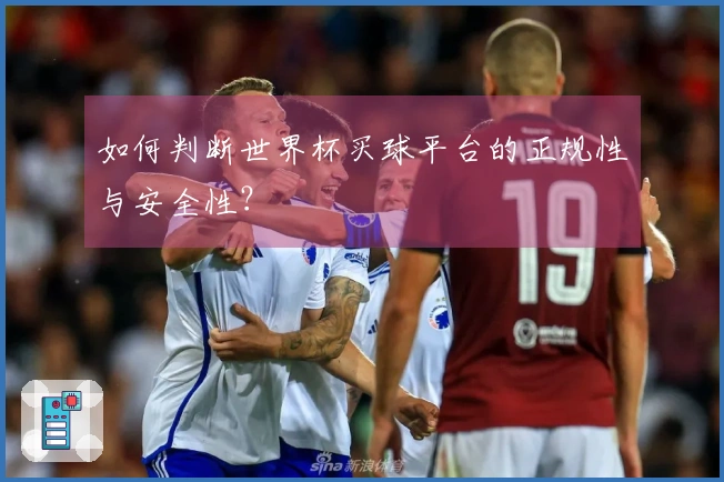 如何判断世界杯买球平台的正规性与安全性？