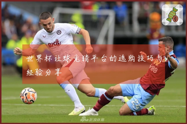 世界杯让球竞猜平台的选购技巧与经验分享