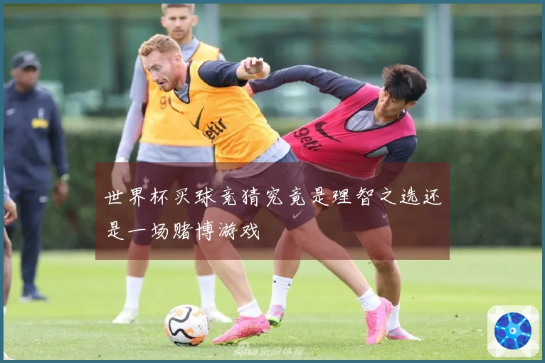 世界杯买球竞猜究竟是理智之选还是一场赌博游戏