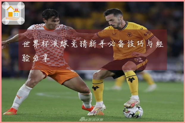 世界杯滚球竞猜新手必备技巧与经验分享