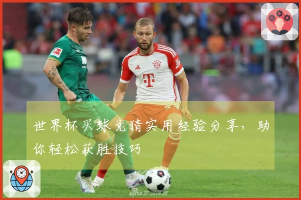 世界杯买球竞猜实用经验分享，助你轻松获胜技巧