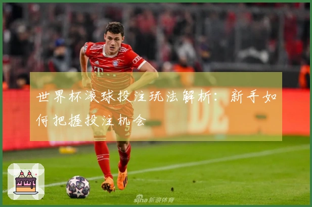 世界杯滚球投注玩法解析：新手如何把握投注机会