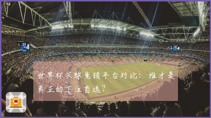 世界杯买球竞猜平台对比：谁才是真正的下注首选？