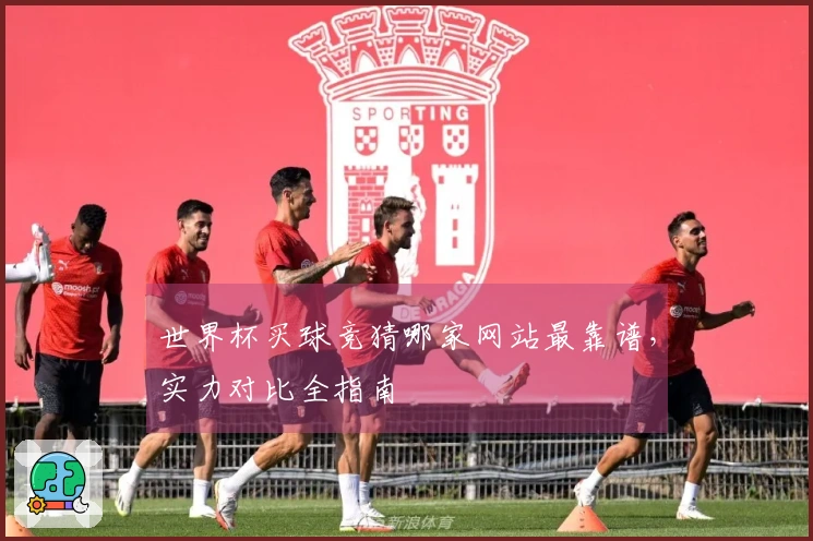 世界杯买球竞猜哪家网站最靠谱,实力对比全指南