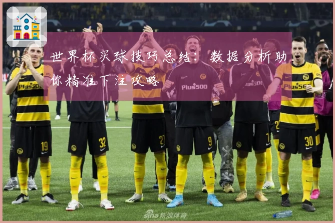 世界杯买球技巧总结：数据分析助你精准下注攻略