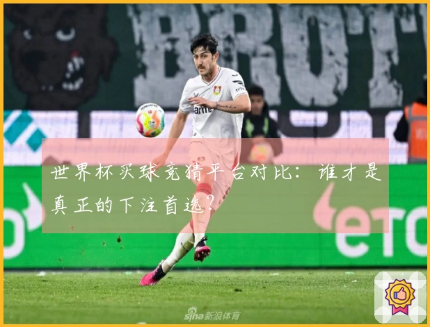 世界杯买球竞猜平台对比：谁才是真正的下注首选？