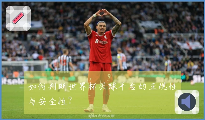 如何判断世界杯买球平台的正规性与安全性？