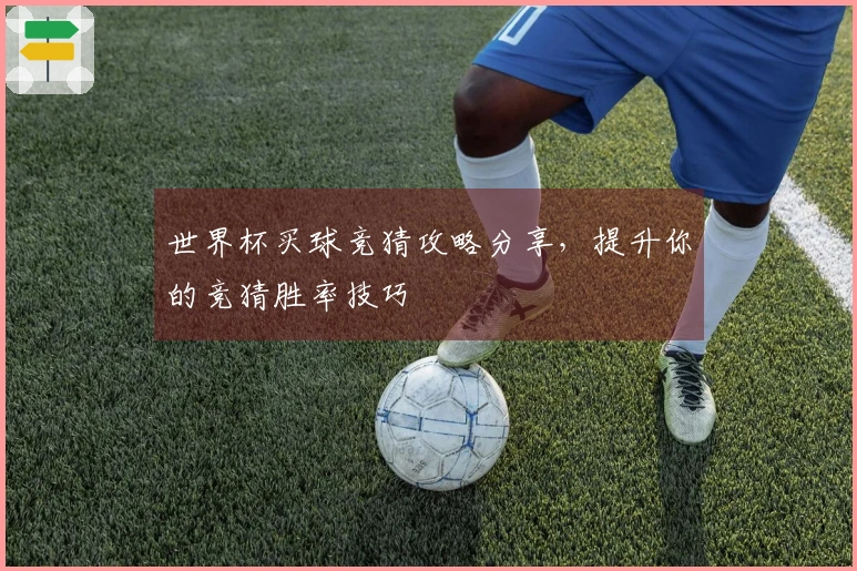 世界杯买球竞猜攻略分享，提升你的竞猜胜率技巧