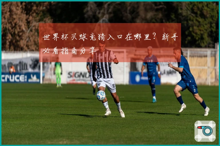 世界杯买球竞猜入口在哪里？新手必看指南分享