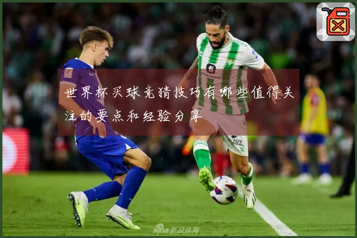 世界杯买球竞猜技巧有哪些值得关注的要点和经验分享