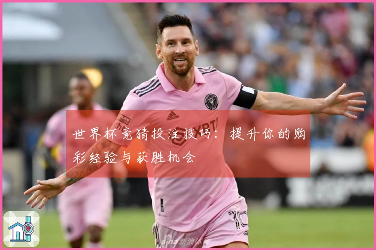 世界杯竞猜投注技巧：提升你的购彩经验与获胜机会